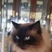 Joanna Powers - Facebook