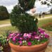 Joanna Roach - Facebook