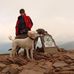Joanna Rutherford - Facebook