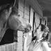 Joanna Saxton Fine Art - Facebook