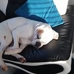 Joanna Sharp - @joanna.sharp.798 - Instagram