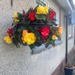 Joanna Mckinlay Steele - @mackin0707 - Instagram