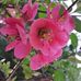 Joanna Stuart - Facebook