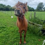 Joanna Webster - @demexiffie - Instagram