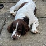 Joanna Wells - @jowells1970 - Instagram