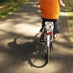 Joanna West - @booksellerjo - Instagram