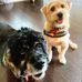 Joann Ahern - Facebook