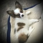 Joanne Albrechtsen - @joannealbrechtsen - Instagram
