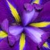 Joanne Ames - Facebook