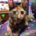 Joanne Ames - Facebook