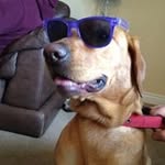 Joanne James - @joannejames1984 - Instagram