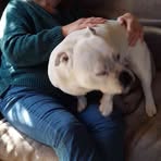 Joanne Amos - Facebook