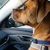 Joanne D'Angelo Shovlin - @joanne.dangelo.sh - TikTok