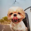joannearroyo - @jma1188 - TikTok