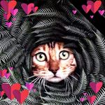 JoAnne Arthur Venne - @joannearthurvenne - Instagram