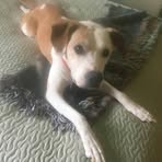 Joanne Auer - Facebook