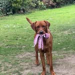 Joanne Avery - @joannavery5 - Instagram
