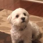 Joanne Baek - @vinvest316 - Instagram