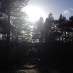Joanne - @joannebannon1 - Instagram