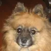 Joanne Shelton Bannon - @2184077923 - TikTok