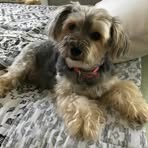 Joanne Barron - Facebook