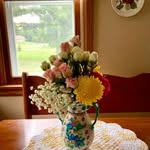 Joanne Basile Gribbins - @jogribb49 - Instagram