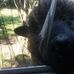 Joanne Baxter - Facebook