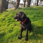 Joanne Baxter - @joanne.baxter.3745 - Instagram