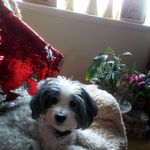Joanne Baxter - @joannetbaxter61 - Instagram