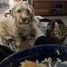 Joanne Baxter - Facebook