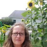 JoAnn.Beebe.Bouton - @joann.beebe.bouton_ - Instagram