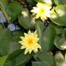 Joanne Berger - Facebook
