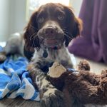 Jo Biddle - @joanne.biddle - Instagram