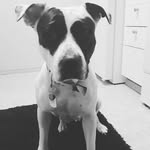 Joanna Billman - @joannabillman - Instagram