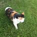 Joanne Bisson - Facebook