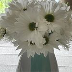 Joanne Termini Bisson - @jobisson108 - Instagram