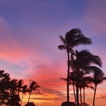 Joanne Blain - @joanneblain60 - Instagram