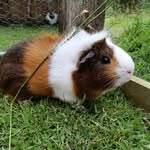 Joanne Blain - @workingmuma - Instagram