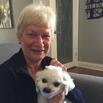Jo-Anne Blinn - @joanneblinn - Instagram