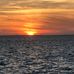 Jo-Anne Blomquist - Facebook