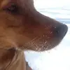 Zero Gravity🐾 - @joannebockhorn - TikTok