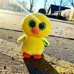 Joanne Bodenhamer - @joannebodenhamer - Instagram