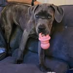 Joanne Handibode - @joannehandibode - Instagram