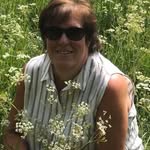 Joanne Boneham - @joanneboneham - Instagram
