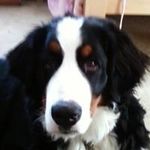 Joanne Heck - @joannebones6020 - Instagram