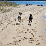 Joanne Born - @joanneborn - Instagram