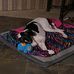 Joanne Born - Facebook