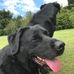 Joanne Bothwell - Facebook