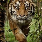 Joanne Bouchard - @joanne.bouchard.54 - Instagram