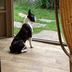 Joanne Bouchard - @joanne.bouchard.9889 - Instagram